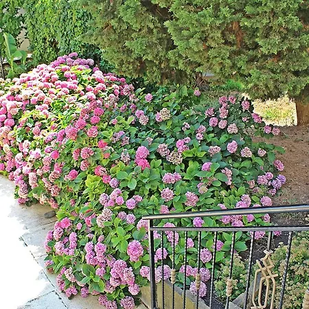 Rezort Duni Pelican Sozopol