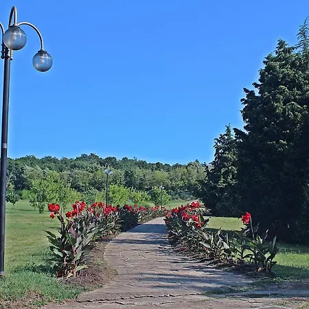 Semesteranläggning (resort) Duni Pelican 4*