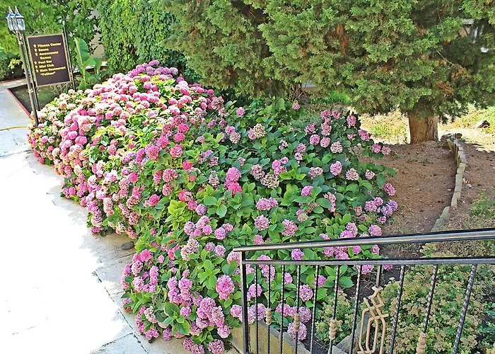 منتجع Duni Pelican سوزوبول